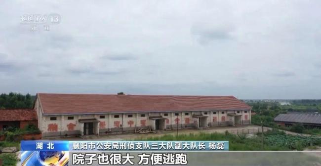 盗墓贼看小说学盗墓挖走20余件国宝 古墓青铜器被盗案告破