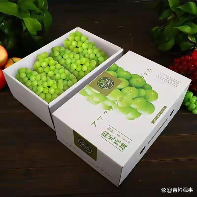 阳光玫瑰为何价格暴跌 从天价到亲民价的背后