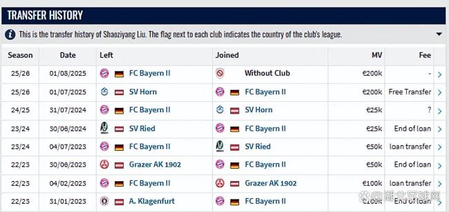 曝刘邵子洋从拜仁二队离队 去向成谜