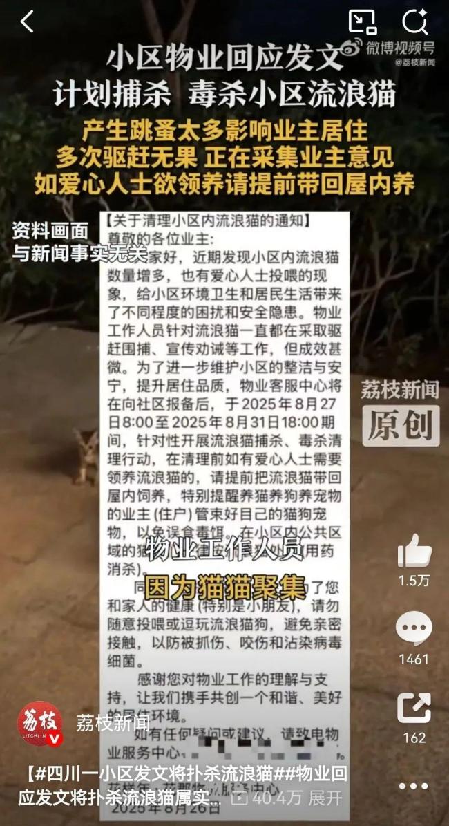 四川一小区发文将扑杀流浪猫 因跳蚤问题引发争议