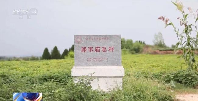 男子痴迷盗墓小说盗走20件国宝 珍贵文物被盗案告破