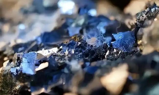 特朗普为何欢迎60万中国学生 稀土与人才的博弈