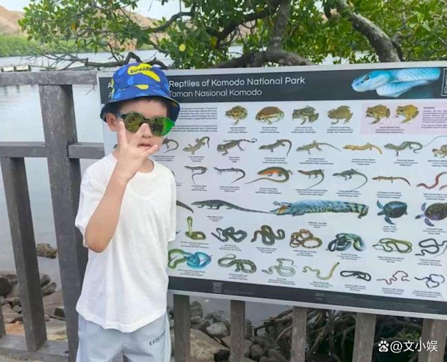 章子怡七夕晒与儿女旅行日常 温馨同框