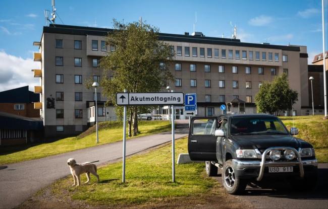 8名中国游客在瑞典采蘑菇集体中毒送医！罕见事件考验当地医疗资源