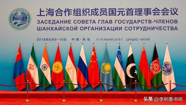 普京访华将晤多国领导人对俄有何意义 深化多边合作信号