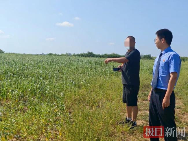 男子租25亩地疯狂盗挖膨润土获刑 非法采矿罪成立