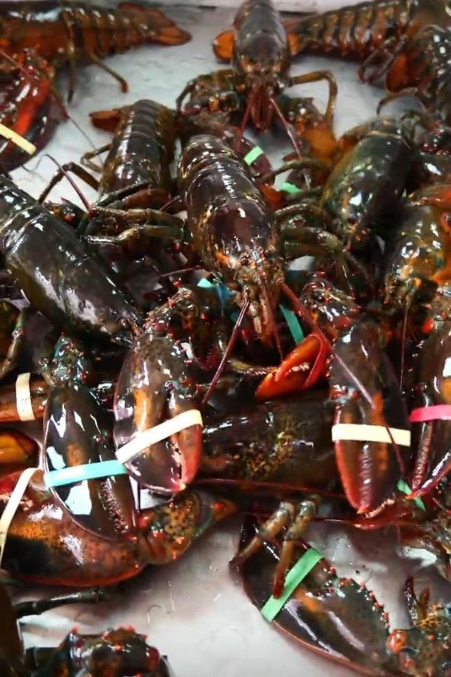 河南周口一幼儿园餐食走红 网友称“梦中情园”