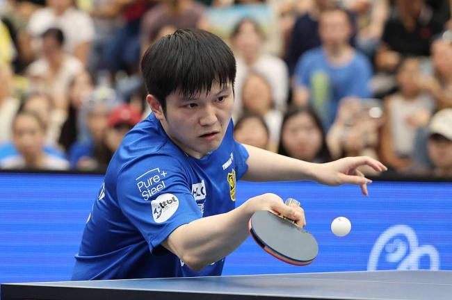 樊振东带火德国乒乓球市