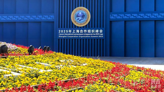 时政新闻眼丨从“上合时间”到“胜利日时间”，元首外交释放哪些重要信息？
