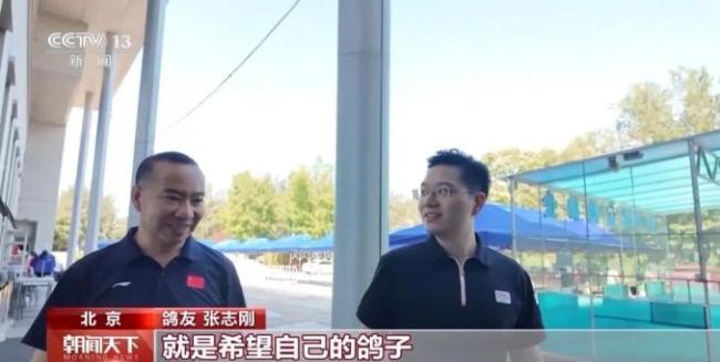 九三阅兵后和平鸽化身兵鸽鸽 信鸽归巢展现荣耀