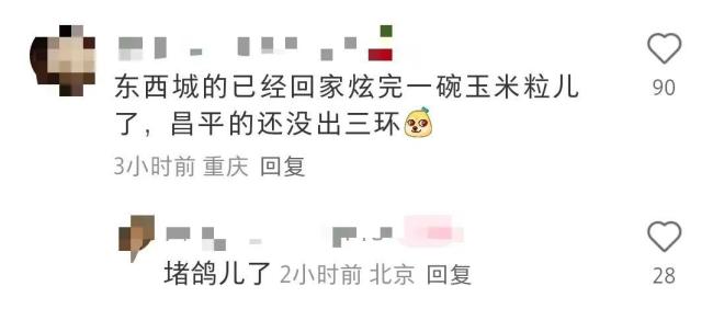 阅兵和平鸽不能随意喂食 归巢能力揭秘