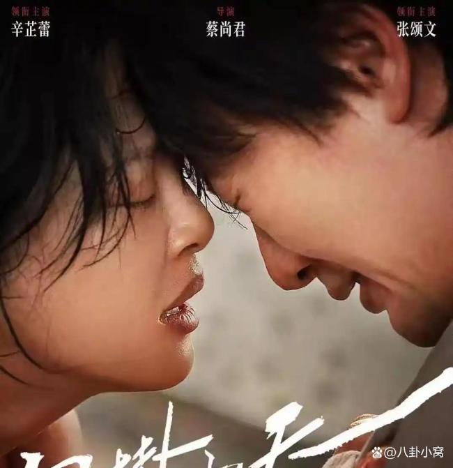 有野心的辛芷蕾从鹤岗闯到威尼斯 梦想成真之路