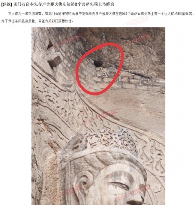 現(xiàn)場：龍門石窟佛像頭頂現(xiàn)馬蜂窩