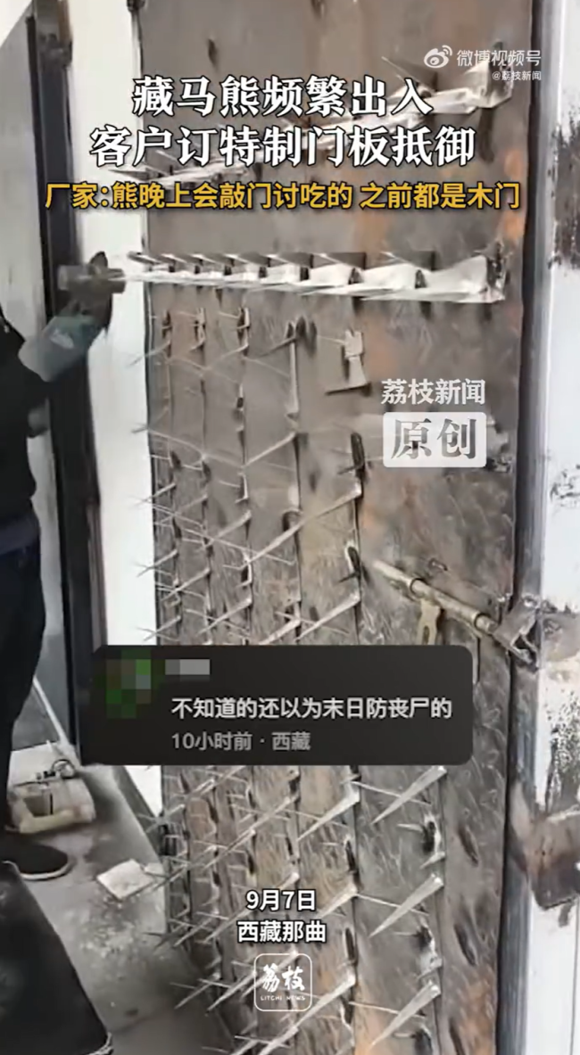 藏马熊频繁出入客户订特制门抵御！