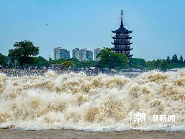 记者踏浪钱塘江“鬼王潮” 万马奔腾壮观景象