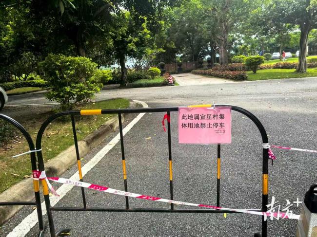 住了近十年才知道小区绿化是租来的 业主震惊引发争议