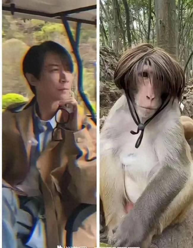 張維伊連標志性的甩頭動作都戒了 人設崩塌與真情流露