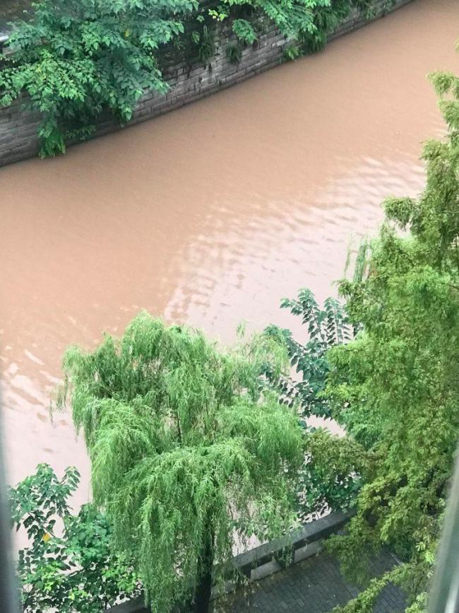 重庆12个区县出现暴雨 多条河流水位上涨