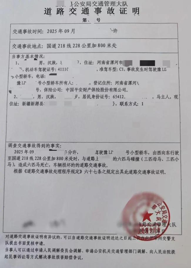 游客自驾撞到马群致6匹马死亡 责任划分待定引发关注