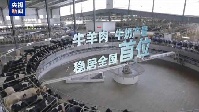 航拍视角飞跃北疆大地