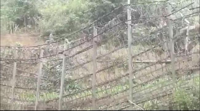 被“标价”200万元的生命 缅北诈骗园区的生死逃亡