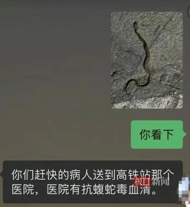 男子被毒蛇咬伤后拍下蛇的后拍照片并就医