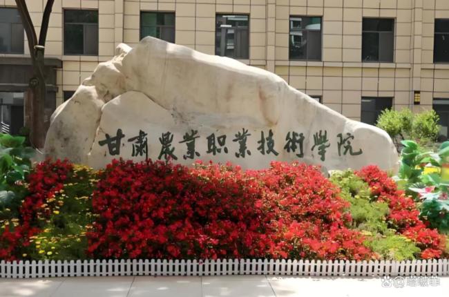 妇联回应大二女生在学校宿舍分娩 校园意外引热议