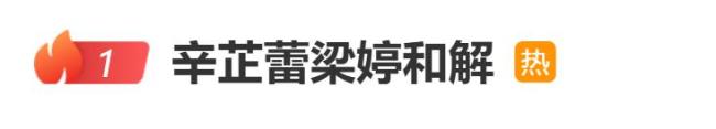 你如何看待辛芷蕾梁婷和解