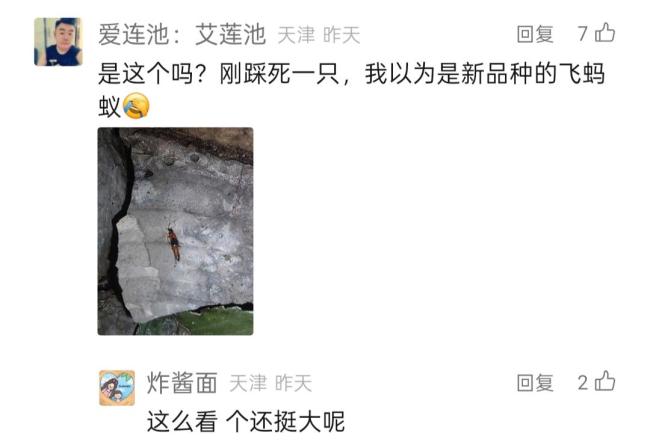 天津多地出现隐翅虫 科学防治方法需掌握