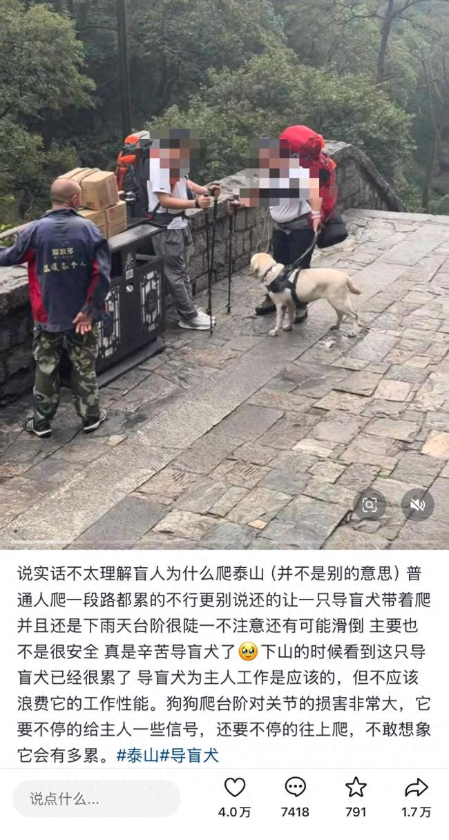 两名盲人带导盲犬爬泰山引争议,导盲犬基地回应
