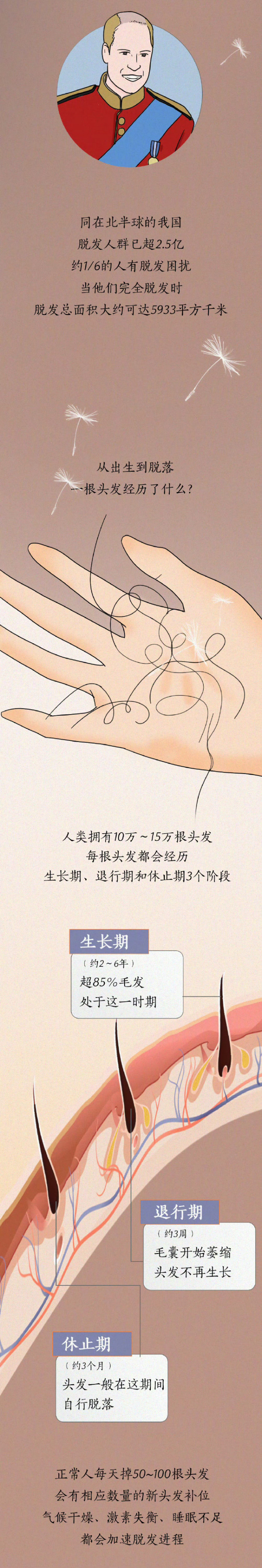 秋天是北半球的脱发高峰 洗头发时发现了一个悲伤的事实
