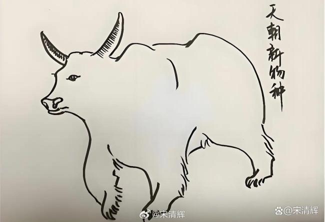 经济学家宋清辉：散户谨慎入市