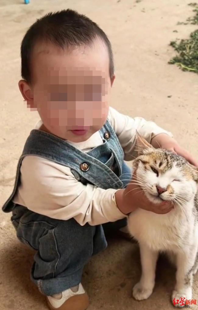 家门口失踪10多天的2岁女童已离世 搜寻无果悲剧收场