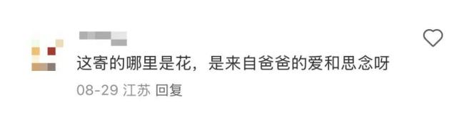 我爸给我寄了两支路边看到的花：爱与思念的传递