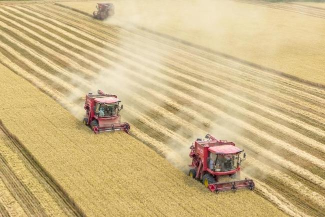 時(shí)政微觀察丨豐收時(shí)節(jié)感悟總書記的“三農(nóng)”情懷