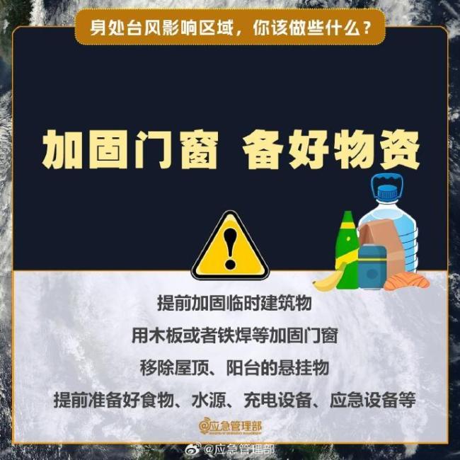 超强台风“桦加沙”来袭，鸟类如何应对风王？轻巧身体为何不会被吹跑 橘座的淡定哲学