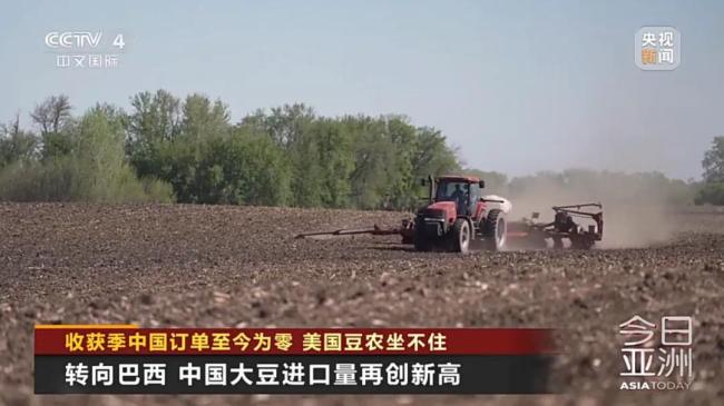 中國訂單：零！美國豆農坐不住了