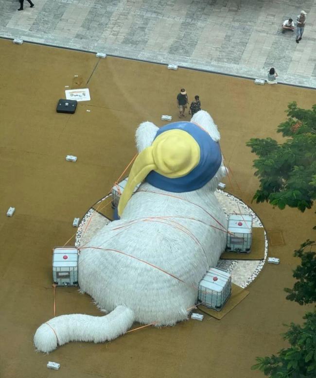 深圳人把該綁的都綁起來了！深圳人不語只一味綁東西