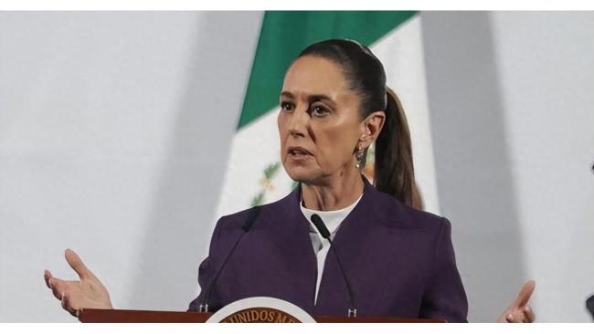 墨拟大幅加税 中国汽车如何应对 市场策略调整迫在眉睫