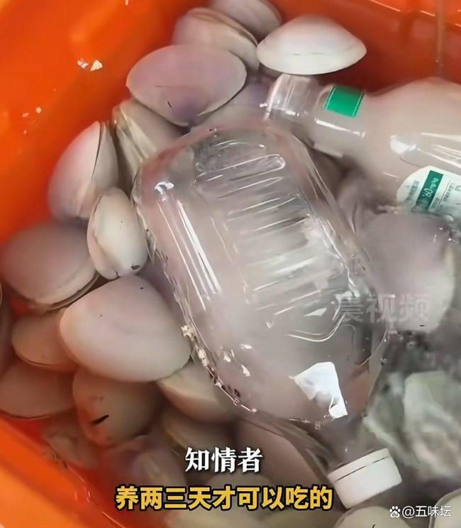 汕尾海滩现大量海鲜有人捡上百斤 台风后市民热情捡拾