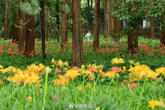 冷空气控场了！浙江大雨暴雨、10级雷雨大风！最高温仅28℃