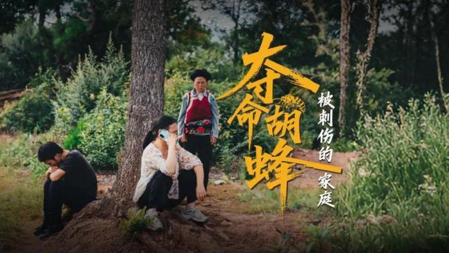 “夺命胡蜂”案追踪！云南两兄妹遭胡蜂蜇数百次身亡 林下养殖引争议