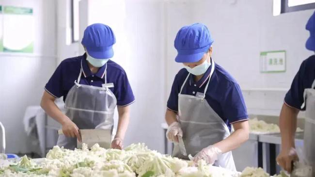 河南一地聘请160名家长到中小学帮厨