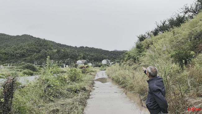 唐飞机坠机点距起飞地约50米 旁边是鱼塘和水库
