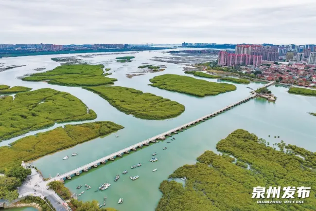 “双节”首日泉州人气拉满 古城再现人潮模式