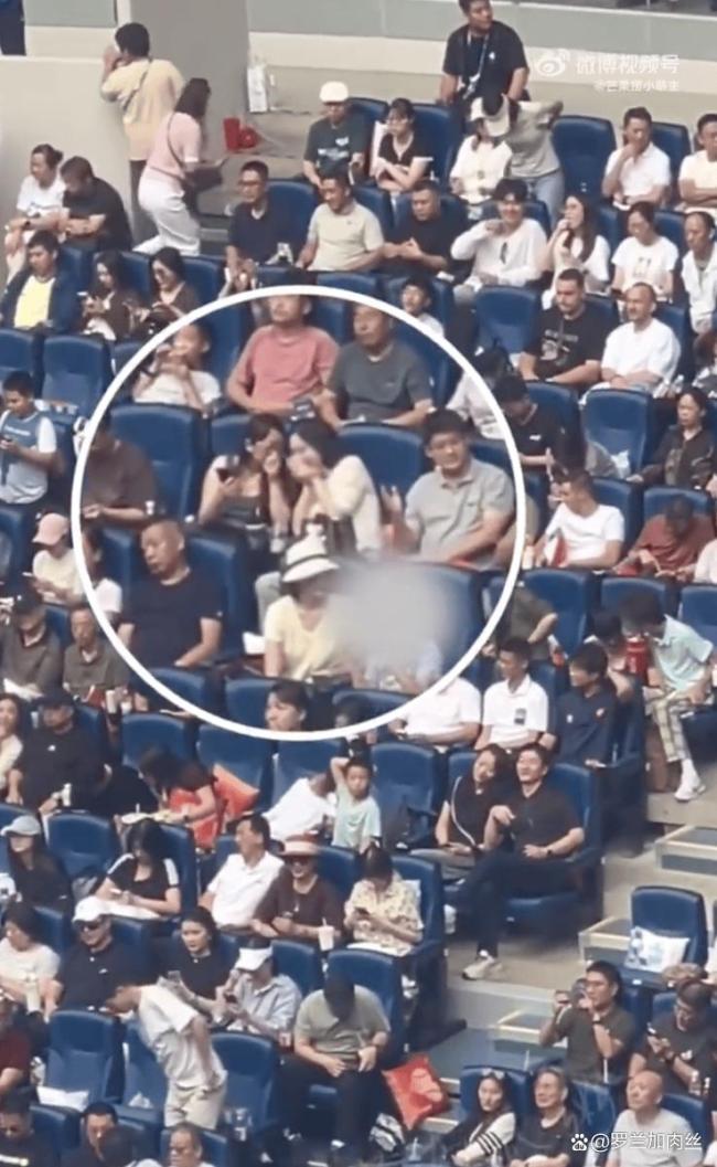 董卿儿子长这么大了 母子温馨互动引关注