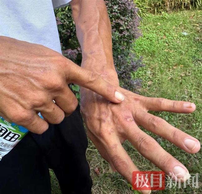 鸡排哥谈收入笑称“还没赚到1个亿” 网络传言不实