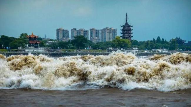 浙江此处天下奇观 即将进入最佳观赏期！