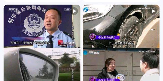车被黑狗啃到面目全非 车主无奈报警求助