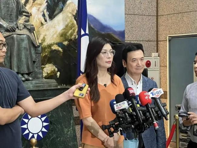 郑丽文：绿营也担心我当选国民党 抹黑与中伤不断